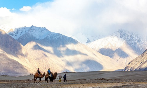 Ladakh Winter and Summer Tour Packages